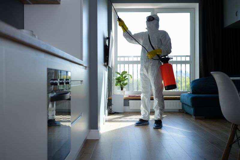 Bug Removal Service in Arlington, TX