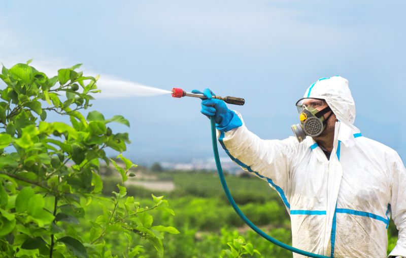 Pest Fumigation Service in Oklahoma City, OK