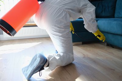 Residential Fumigation in Fredericksburg, VA