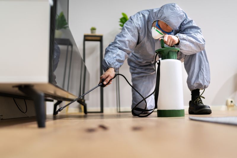 Spider Fumigation Service in Tampa, FL